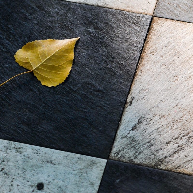 carrelage extérieur imitation bois